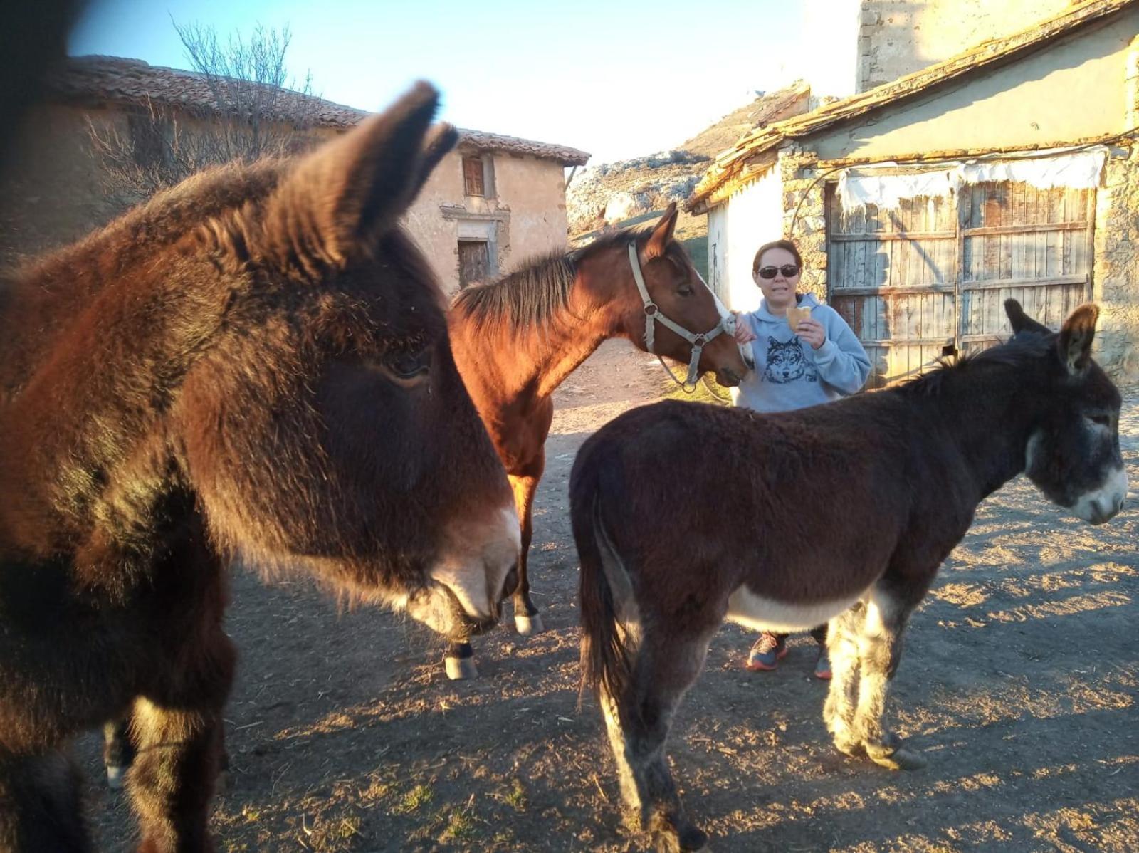 Villarroya de los Pinares Casa Rural Chulilla מראה חיצוני תמונה
